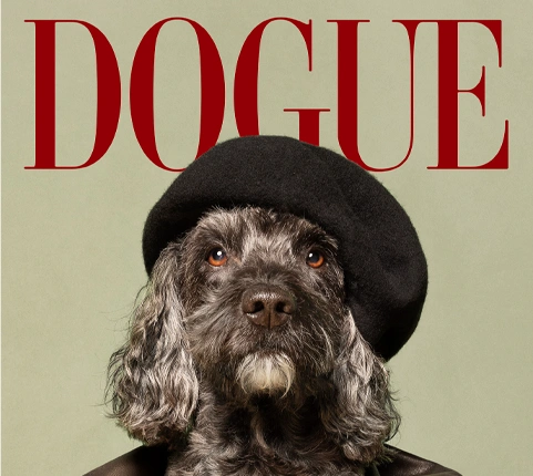 „Dogue”
